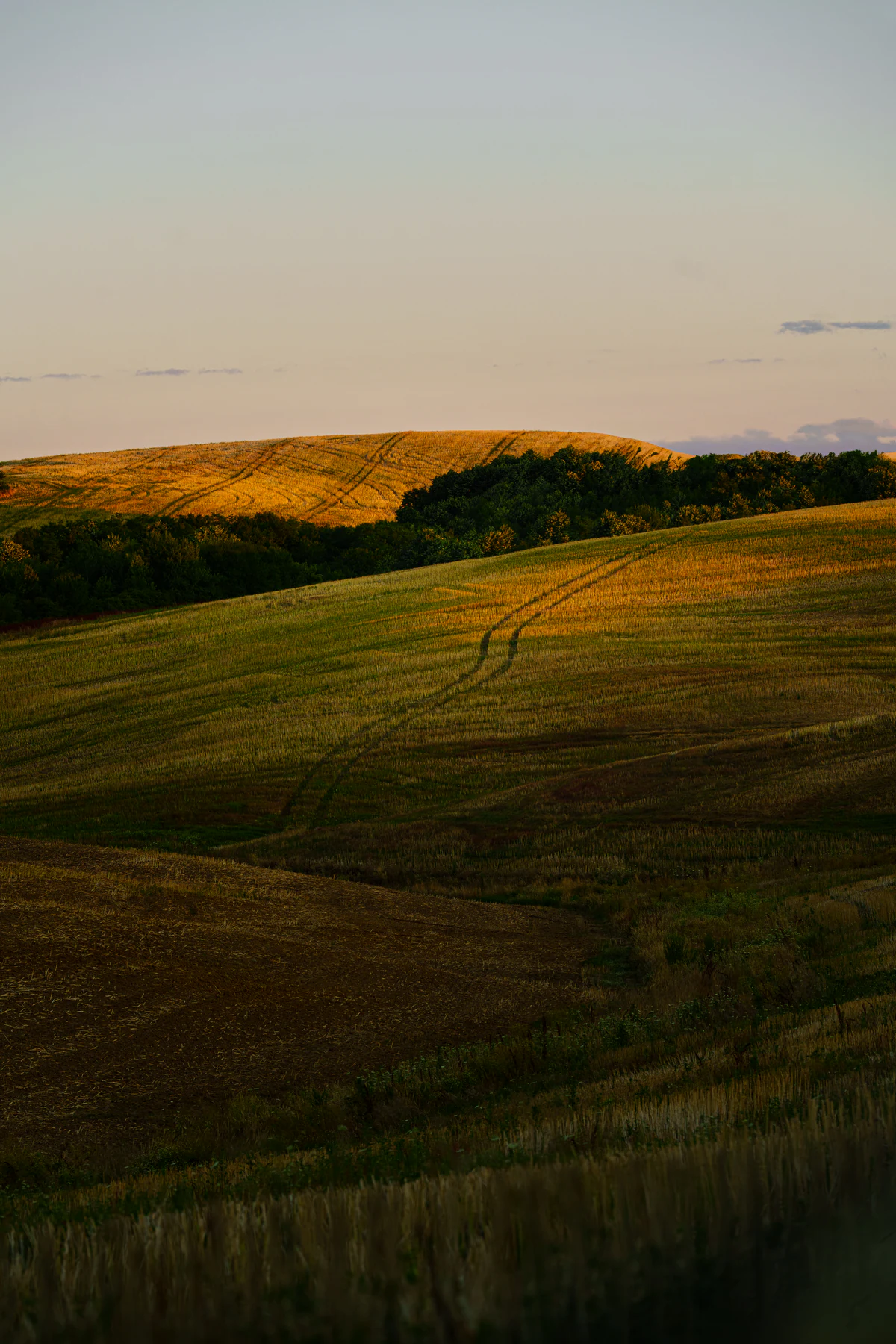 Warm evening light across cultivated fields and wooded hills in Bosnian Posavina.